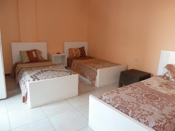 Venus Hostel image 5